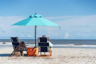 425 Ocean Point Ln - Fripp Island - 5