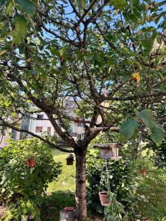 Nandi-HolidaySport&Relax-Apt - 8