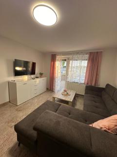 Apartments Harmony Joe - Radenci - 6