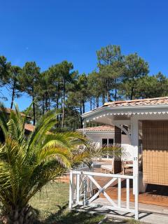 LA VILLA DES PINS - Lacanau-Océan - 7