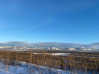 Oma's and Opa's Northern Lights Viewing Cabin - 4