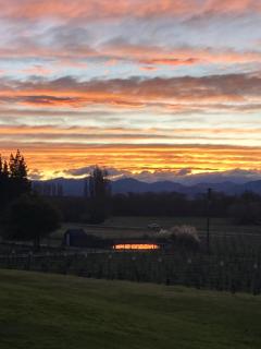 Fantail Cottage - Hurunui - 9