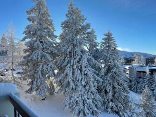Appartement confortable 2 ch. à 50 m des pistes - FR-1-549-112 - Chamrousse - 1