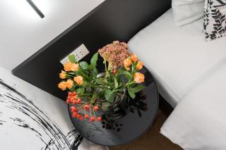Sunny Studio - Charming Balcony - Romana Square - Bucarest - 5