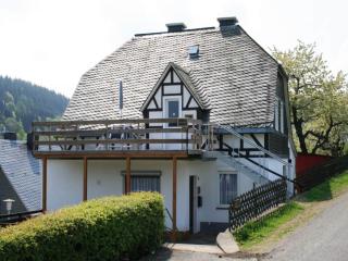 Ferienhaus in Willingen mit eigenem Garten - 4