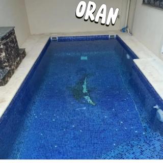 Villa avec piscine à ORAN - Orano - 5