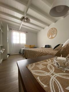 casa misiones - Mar del Plata - 1