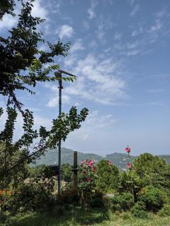Hills view villa 3 BHK villa - Kasauli - 4