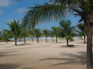 Sobrado da nereide - Bertioga - 0
