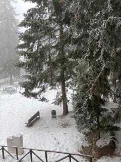 Studio Kris Villa Park - Borovets - 4