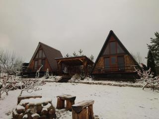 Razele Trascaului - 7