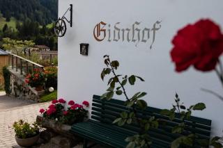 Gidnhof - Trins - 1