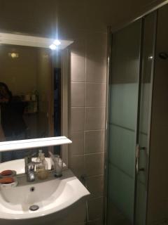 Ecully logement privé attenant de la maison principale - Écully - 6