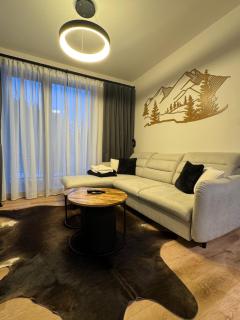 Luxury Mountain Apartment - Černý Důl - 7
