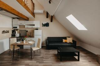 Palatul Agoston Galgon - 2