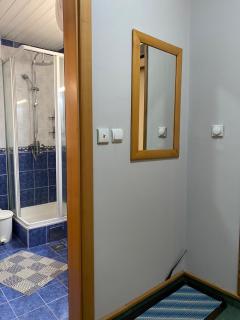 Kopaonik Vila Nikola 306 centar - Kopaonik - 4