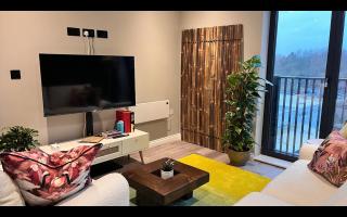 Golden Escape, 2Bed 2Bath, Leeds Center & Stadium 10 mins - Beeston Hill - 6