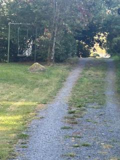 Lake cottage with private pier - 1