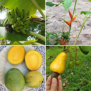 Recanto na praia Casa Amarela - 8