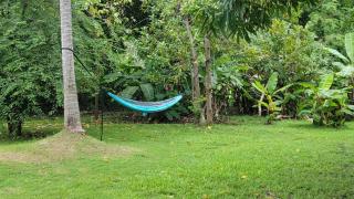 Private pool large yard minutes to beach or ferry - Ceiba - 3