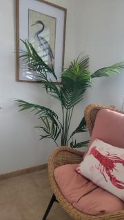 Private pool large yard minutes to beach or ferry - Ceiba - 2
