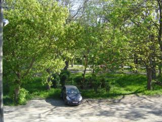 Central Park Family Hotel - Kavarna - 4