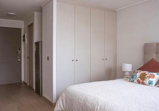 Tranquilidad, armonía y estilo, depto home studio - 3