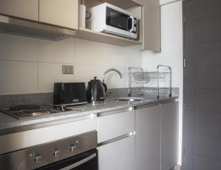 Tranquilidad, armonía y estilo, depto home studio - Concepción - 1
