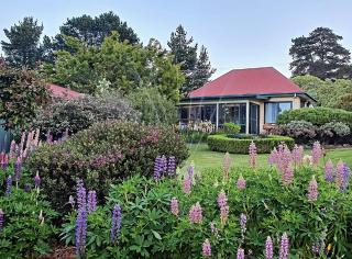 Hamlet Downs Country Accommodation - Fentonbury - 0