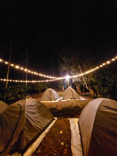 Tropical camping - - 0