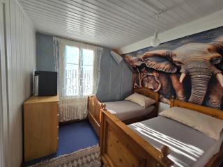 5 bedrooms apartments 3 miles from Cenrre Bern - Bern - 9
