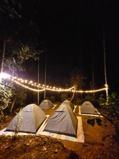 Tropical camping - - 6