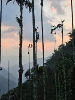 Tropical camping - - 7