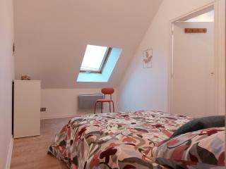 Appartement cosy rénové près de Chartres - FR-1-581-147 - 2