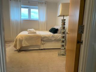 Nice 2 bedroom Apartment by the River Thames - Londra - 8