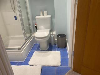 Nice 2 bedroom Apartment by the River Thames - Londra - 1