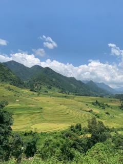 The Zen House Sapa - Sapa - 0