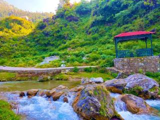 Sitara Hotel & Resort in the lap of nature, Mussoorie - Mussoorie - 4