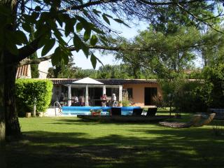Mas la Provence - LʼIsle-sur-la-Sorgue - 1