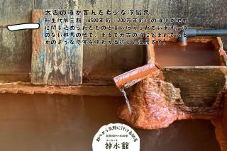 神水館 都心から気軽に行ける秘湯 - Fujioka - 2