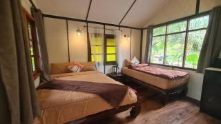 Tee Bungalow in the jungle - Ao Nang - 7