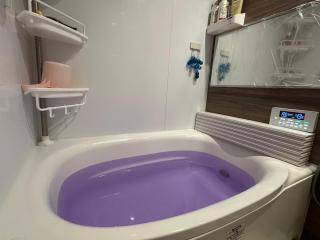 Hideko Apartment 6mins train to Ikebukuro - Tokyo - 1