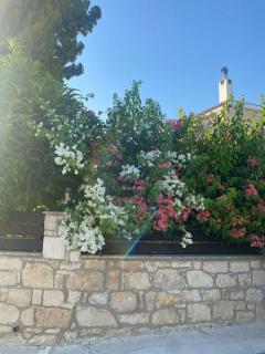 Almond Grove Villa - Simou - 5