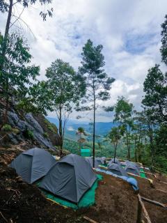 Trekkers Tracks Camp Side - Suryanelli - 7