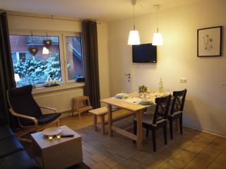 Ferienhaus Emstal in Oberlangen - Lathen - 5