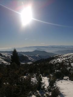 Presidentkop A208 Welnes &SPA - 6