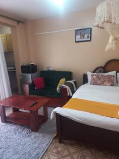 The sevens suites - Nakuru - 7