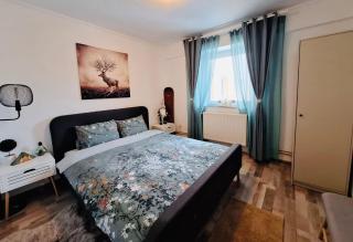 Hellen Studio Predeal - 0