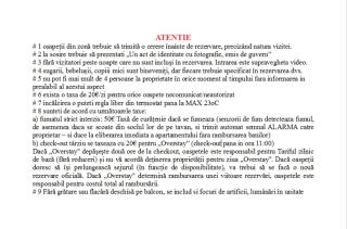 Norsk Skogkatt - BigTV DisneyTV - 8