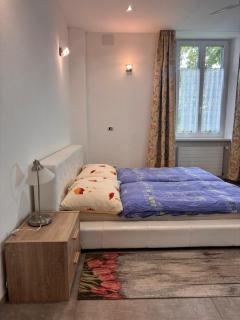 Apartment Alina - Lamone - 3